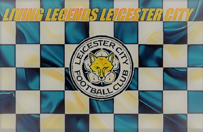 Leicester Banner (3)
