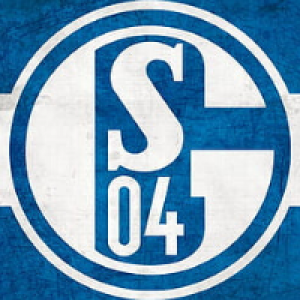 Schalke-04bcf5890561b24251.png