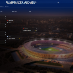 Copa-Bridgestone-Libertadores_-Fasesb11a6eb643a75807