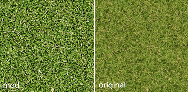 grass-22153dbcde331bffe.png
