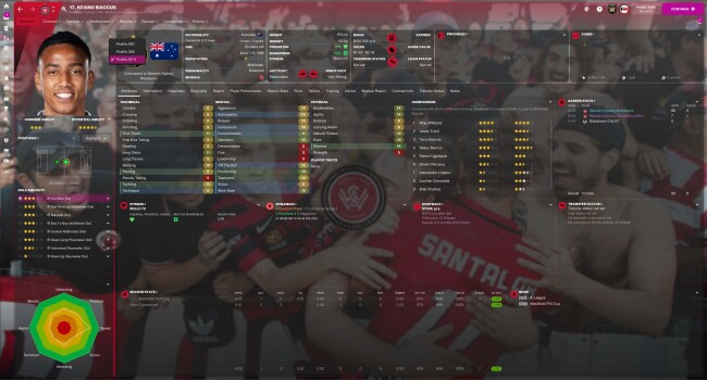 fmscout-skin-player-overview-df11fb0d25dbde734467.jpg