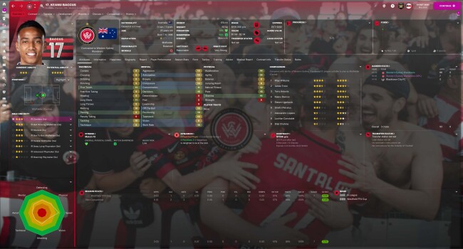 fmscout-skin-player-overview08d6fe94a1be26e2.jpg