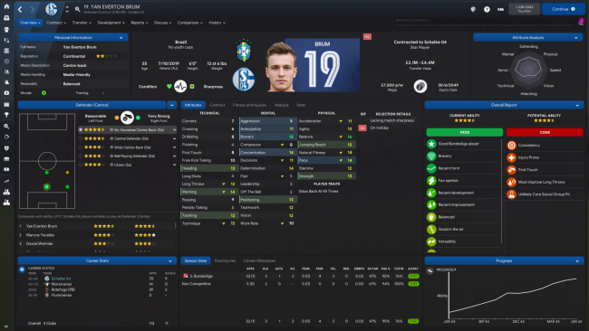 Yan Everton Brum Profile