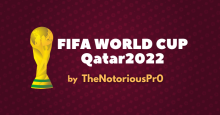 World cup220