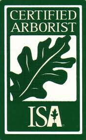 Arborists-San-Jose-CAe4ca108a4b347ca2.jpg