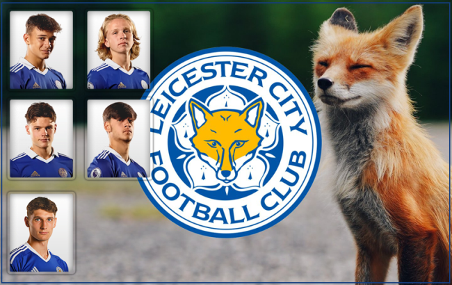young-foxes-extra3ba21477a7e78086.png