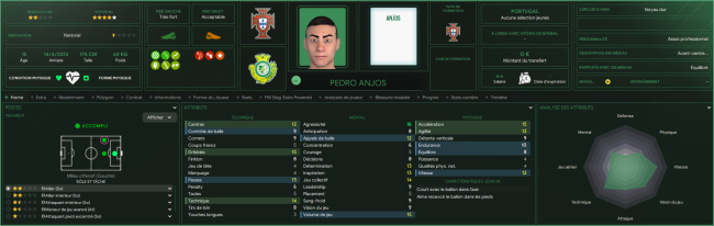 Pedro-Anjos_-Profil11172a2f84e0fd01
