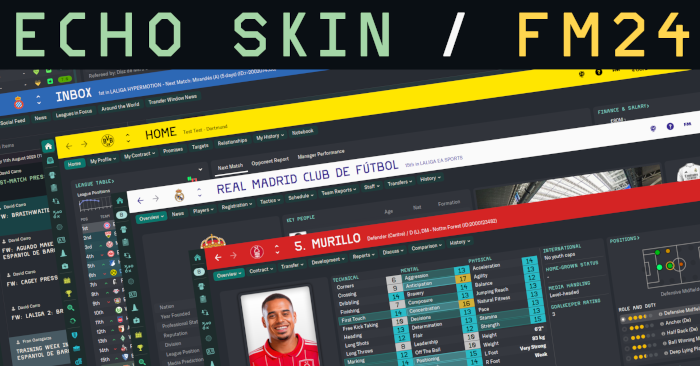 Football Manager 2024 Skins - Echo Skin