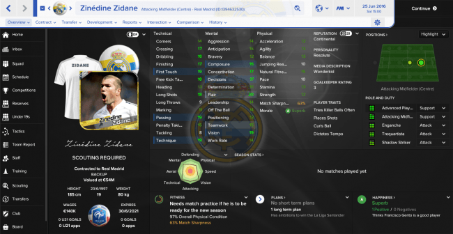 Zinedine Zidane Overview Profile