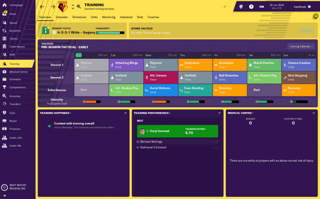 fm19 new style training overview