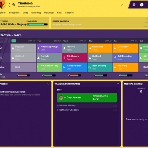fm19-new-style--training-overview