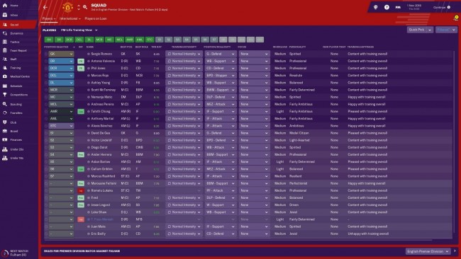 fm19 training view preview