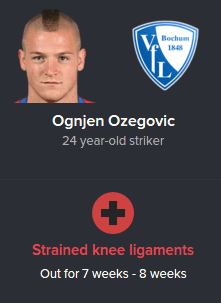 Ozegovic Injury 0812